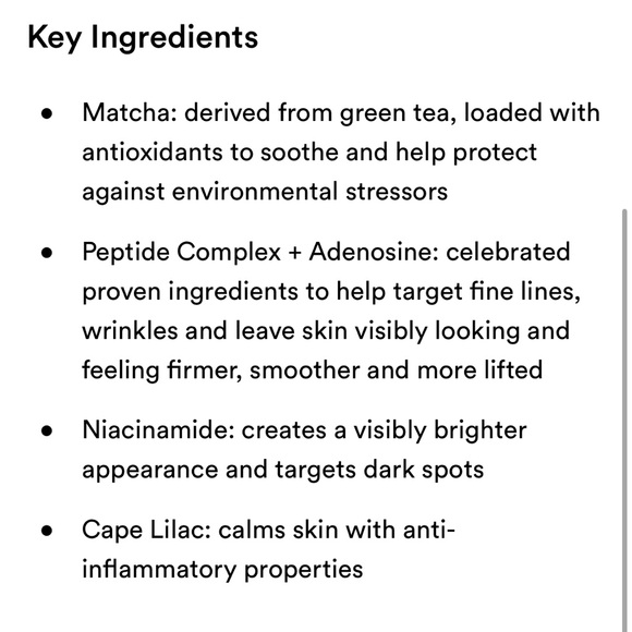 Brand New Peach & Lily Matcha Pudding Antioxidant Cream - Picture 4 of 5